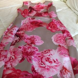 Calvin Klein dress, Flowers, of Pink, Burgundy, and various colors, Size 10